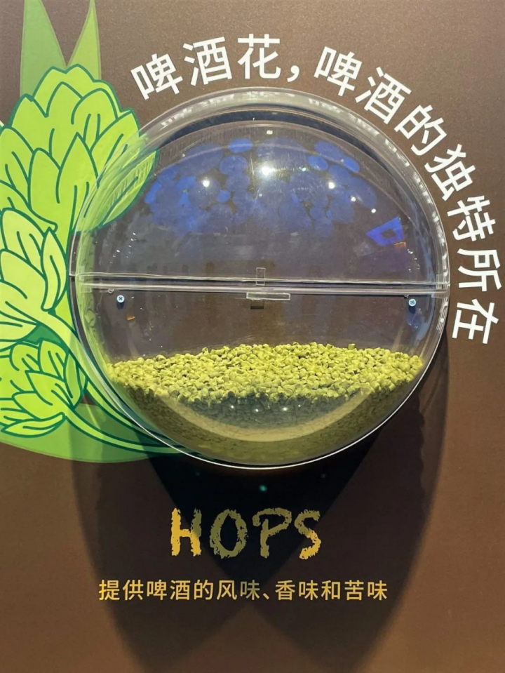 莆田啤酒，百威雪津，全球领先1396.png