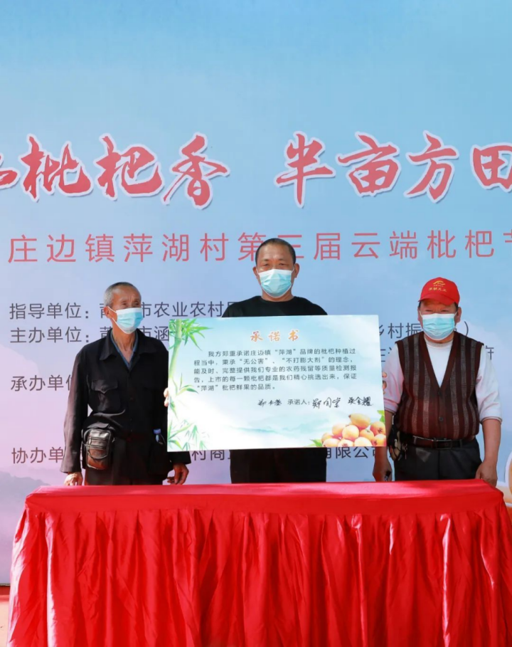 莆田枇杷，中国之最2364.png