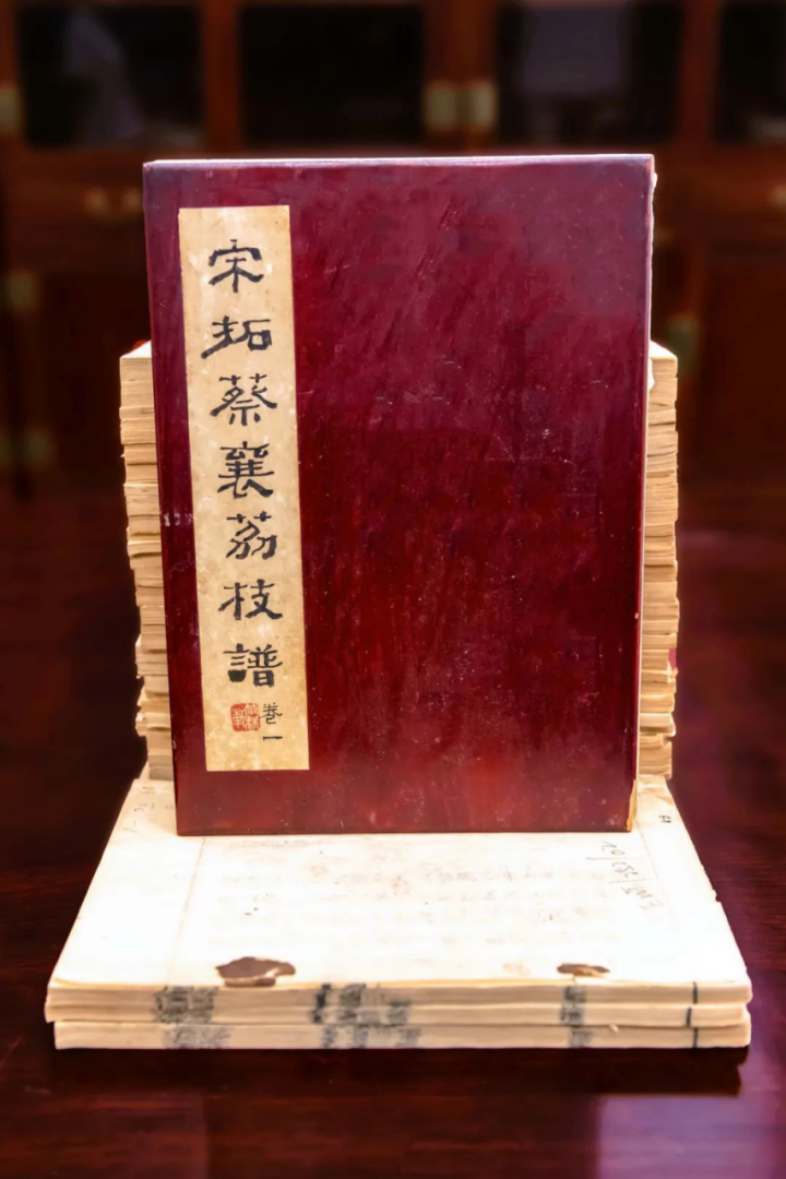 莆田荔枝，千年荔树，千年荔城2434.png