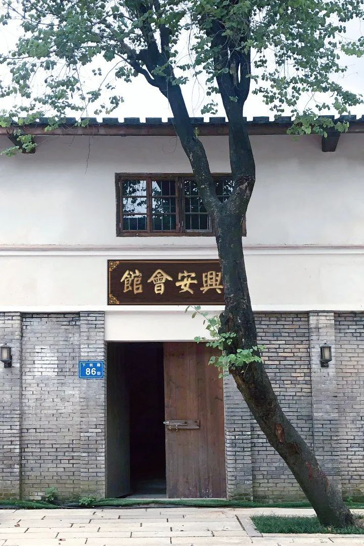 莆田龙眼，最好的桂圆、最早的莆商3838.png